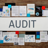 Audit